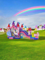 557189640 823372516826938 1687908830247728054 n 1760113544 Princess Unicorn Combo Dry