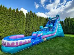 20 foot jelly fish waterslide