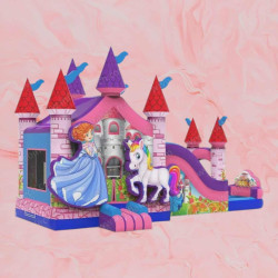 Princess Unicorn Combo Dry